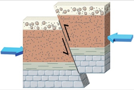 The type of fault shown in this figure is a(n)    A) normal fault. B) reverse fault. C) strike-slip fault.