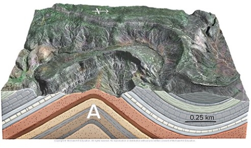   A) thrust fault. B) anticline. C) syncline. D) monocline. E) basin.