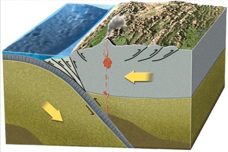 Most large earthquakes on subduction zones occur because of   A) warming of cold oceanic crust. B) melting of cold oceanic crust. C) melting of the mantle. D) energy released in erupting volcanoes. E) faulting along the plate boundary.