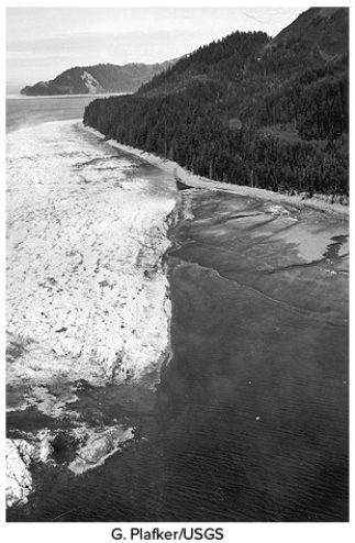 This photograph from the 1964 Alaskan earthquake shows a white area of seafloor that was uplifted during the event.What does this observation specifically suggest about how the earthquake might cause damage?   A) Areas on land could be affected by liquefaction. B) Areas on land could experience landslides. C) This earthquake could have caused a tsunami because it offset the seafloor. D) The earthquake could have caused fires because it released sulfur dioxide gas.