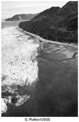What did geologists discover from studying the aftermath of the 1964 Alaskan earthquake?   A) Some parts of the coastline were uplifted and others subsided. B) Changes in elevation were not systematic,occurring randomly over the area. C) There was no good explanation for large waves that resulted from the earthquake. D) Fissuring of the ground and ice was limited to an area very near the epicenter.