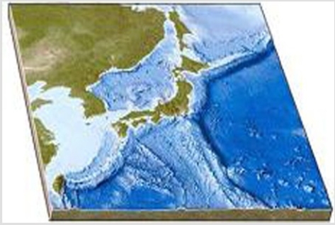 In this figure of Japan,the offshore trenches indicate   A) continental rifting. B) a rift in a midocean ridge formed by seafloor spreading. C) a rift in a midocean ridge formed by transform faulting. D) subduction of oceanic crust.