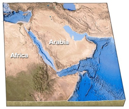 How did the Red Sea,shown between Arabia and Africa in this figure,form?   A) Subduction of Arabia beneath Africa B) Subduction of Africa beneath Arabia C) A continental collision D) Continental rifting followed by seafloor spreading E) Transform faulting followed by a continental collision
