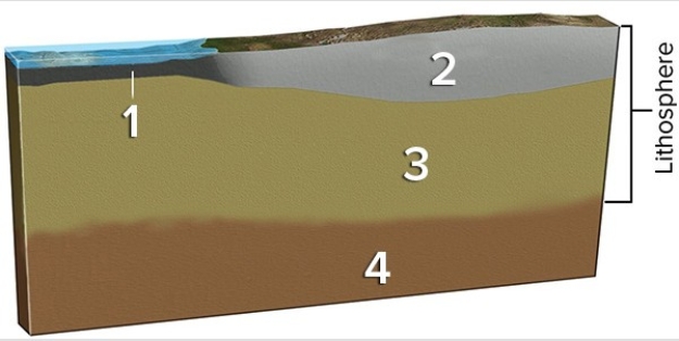 In the diagram below,which layer(s) correspond to the mantle?   A) 1 and 2 B) 3 C) 3 and 4 D) 4