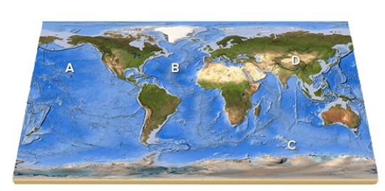 On this map,identify the letter that is over a midocean ridge.   A) A B) B C) C D) D E) Feature is not labeled.