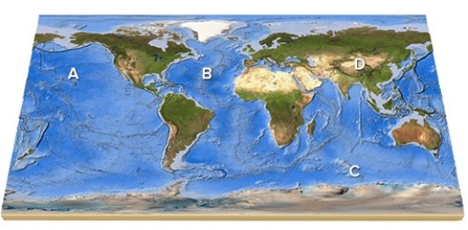 On this map,identify the letter that is over the Pacific Ocean.   A) A B) B C) C D) D E) Feature is not labeled.