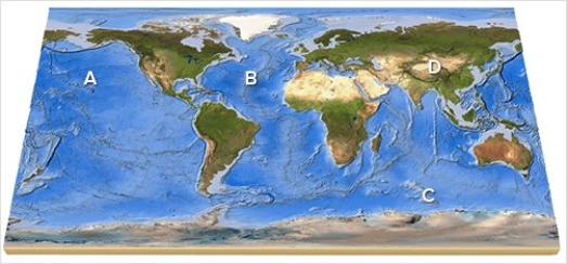 On this map,identify the letter that is over an island arc.   A) A B) B C) C D) D E) Feature is not labeled.
