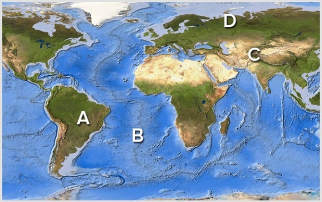 Which area(s) on this world map is likely to have volcanoes above sea level?   A) A B) B C) C D) D