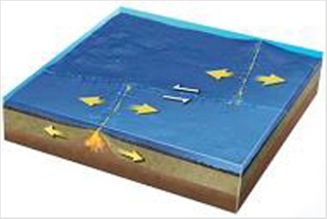 What types of plate boundaries are shown in this figure?   A) Divergent B) Convergent C) Transform D) Divergent and transform E) Convergent and divergent