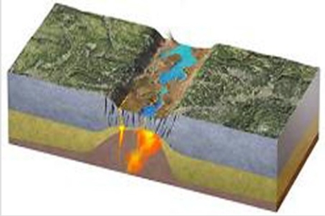 What type of plate boundary is depicted in this figure?   A) Continental rift B) Ocean-ocean convergent boundary C) Ocean-continent convergent boundary D) Divergent and transform boundaries E) Continental collision