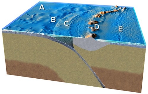 The plate boundary on this figure is located between   A) A and B. B) B and C. C) C and D. D) D and E. E) There is not enough information to tell.