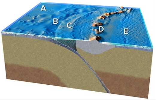 Which feature on this figure is formed by the melting of the mantle above the slab?   A) A B) B C) C D) D E) E