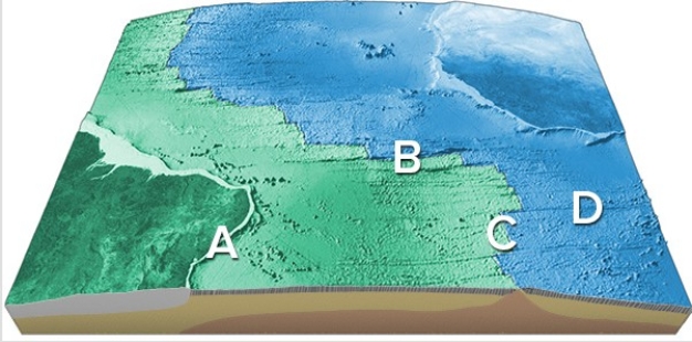 On this map of the South Atlantic,which letter is on a transform fault?   A) A B) B C) C D) D