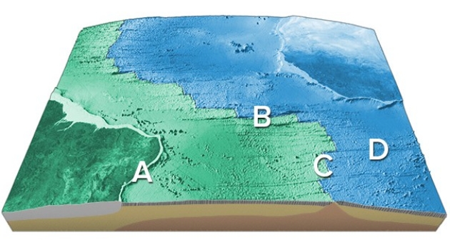 On this map of the South Atlantic,which letter is on an oceanic fracture zone?   A) A B) B C) C D) D