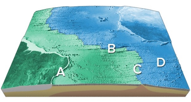 On the accompanying figure,what type of feature is located in the area of letter D?   A) Transform fault B) Midocean ridge C) Linear island chain D) Fracture zone