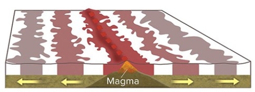 What causes magnetic stripes on the seafloor,such as those shown here?   A) Volcanic rocks in oceanic crust are covered by a variable thickness of sediment. B) Some oceanic crust consists of volcanic rocks and some is composed of sediment. C) Sometimes Earth's magnetic field points north and sometimes it points south. D) Some volcanic rocks are formed in normal ways and others have pillows.