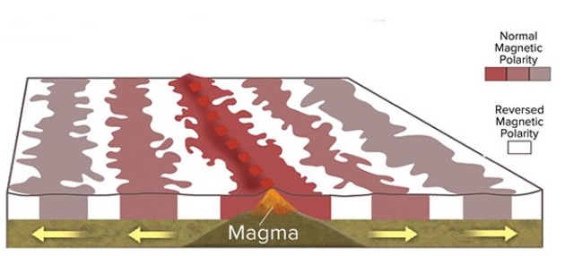 This diagram shows magnetic stripes on either side of the midocean ridge.How many different ages of stripes are represented in this diagram?   A) Two B) Three C) Four D) Six E) Eleven