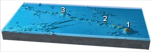 This figure shows a northwest-southeast line of islands and seamounts near Hawaii.If location 3 has the oldest rocks and Hawaii (1) has the youngest rocks,which way is the plate moving with respect to the hot spot?   A) Northwest B) Southeast C) Northwest and southeast D) It is not moving in a consistent direction.