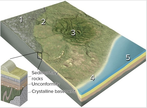 Which numbered site is likely to have exposure of crystalline rocks?   A) 1,the continental shield B) 2,the continental platform C) 3,a basin in the continent D) 4,a continental shelf E) 5,a deep sediment-filled basin next to the continent