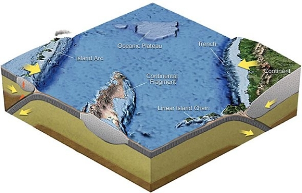 In the figure below,a tectonic terrane is shown at   A) island arc. B) ocean plateau. C) continental fragment. D) linear island chain. E) All of these are correct.