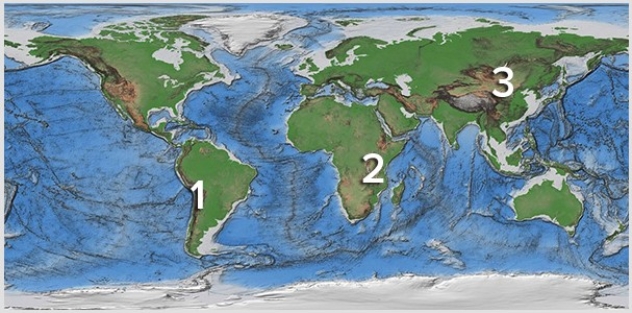 Which of these regions is high because of subduction of an oceanic plate?   A) 1,Andes of South America B) 2,East Africa C) 3,Tibet D) None of these are correct.