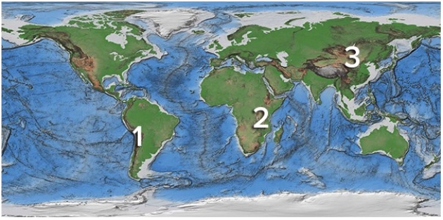Which of these regions is high because of mantle upwelling near a continental rift?   A) 1,Andes of South America B) 2,East Africa C) 3,Tibet D) None of these are correct.