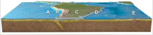 Where is subduction occurring on this figure of South America?   A) A B) B C) C D) D E) E