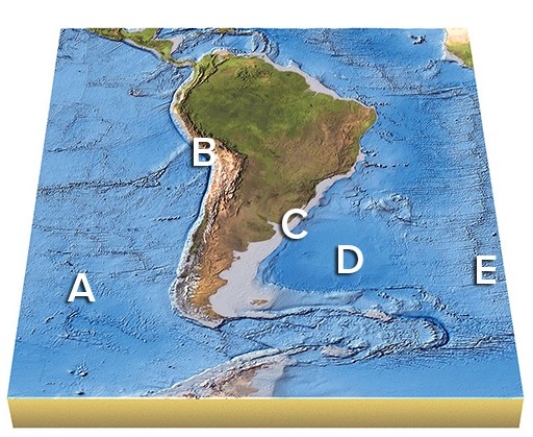 On this map of South America,which features are not on a plate boundary?   A) A and B B) B and C C) C and D D) D and E E) All of the features are on a plate boundary.