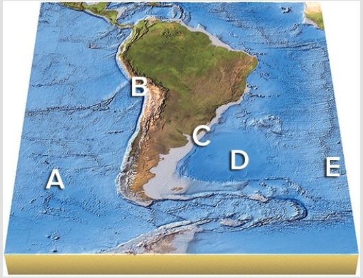 On this map of South America,which features are not on a plate boundary?   A) A and B B) B and C C) C and D D) D and E E) All of the features are on a plate boundary.
