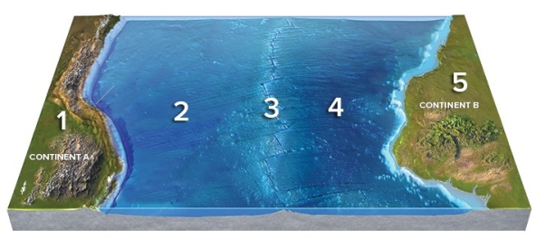 Which location on this figure from the Investigation is located on a divergent plate boundary?   A) 1 B) 2 C) 3 D) 4 E) 5