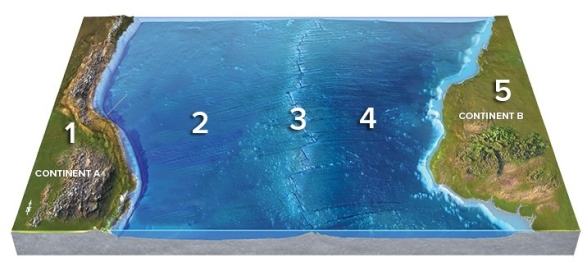 Which location on this figure from the Investigation is located on the abyssal plain?   A) 1 B) 2 C) 3 D) 4 E) 5