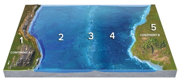 On the accompanying map,large destructive earthquakes that affect land are most likely at locations   A) 1 and 2. B) 2 and 3. C) 4 and 5. D) 1 and 4. E) 1 and 5.