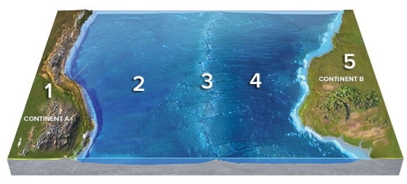The feature at location 3 is probably   A) a divergent boundary. B) a convergent boundary. C) a subduction zone. D) where two plates are colliding. E) not a plate boundary.