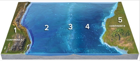 On the accompanying map,earthquakes are most likely at locations   A) 1,2,and 3. B) 1 and 4. C) 1 and 5. D) 2,3,and 4. E) 4 and 5.