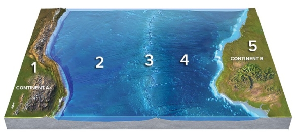 The continental edge between locations 4 and 5 is probably   A) a divergent boundary. B) a convergent boundary. C) an active continental rift. D) where two plates are colliding. E) not a plate boundary.