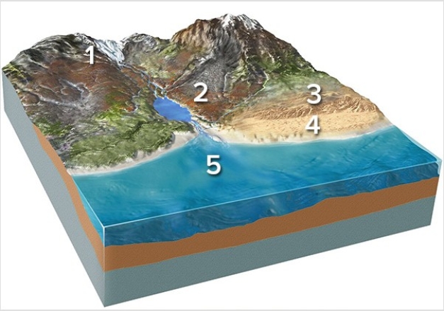 Which of the following locations would contain sand,rounded stones,and broken shells?   A) Location 1,along the margins of a glacier B) Location 2,along a steep mountain front C) Location 3,in sand dunes D) Location 4,along a beach E) Location 5,on relatively deep seafloor