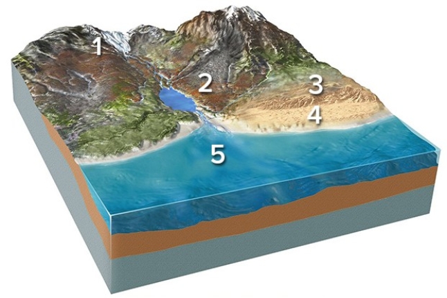 Which of the following locations would contain mud and the remains of small creatures?   A) Location 1,along the margins of a glacier B) Location 2,along a steep mountain front C) Location 3,in sand dunes D) Location 4,along a beach E) Location 5,on relatively deep seafloor