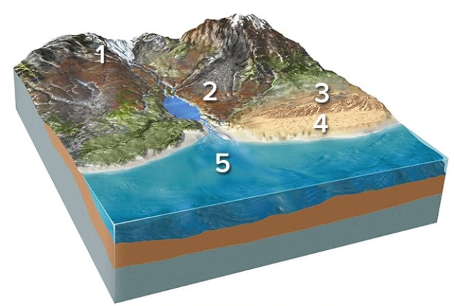 Which of the following locations would most likely contain a high percentage of sand?   A) Location 2,along a steep mountain front B) Location 3,in sand dunes C) Location 4,along a beach D) Locations 2 and 3 E) Locations 3 and 4