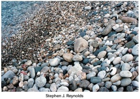 Which of the following surface environments is the most likely site for deposits in this photograph?   A) Steep mountain front B) Glacier C) Sand dunes D) Beach