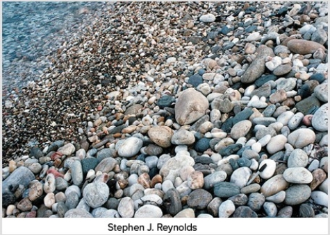 The type of rock that the materials shown in this photograph would produce is   A) sedimentary. B) igneous. C) metamorphic. D) hydrothermal.