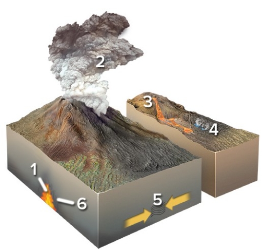 Which of the following locations would form an igneous rock?   A) Locations 1 and 2 B) Locations 2 and 3 C) Locations 3 and 4 D) Locations 1,2,and 3 E) Locations 5 and 6