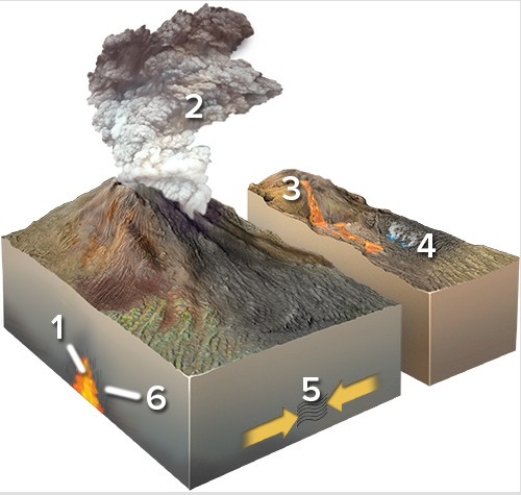 Which of the following locations would form a metamorphic rock?   A) Locations 1 and 2 B) Locations 2 and 3 C) Locations 3 and 4 D) Locations 1,2,and 3 E) Locations 5 and 6