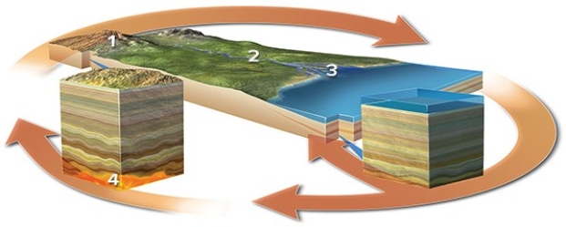 Which of the following best indicates a location where sediment is transported?   A) Location 1 B) Location 2 C) Location 3 D) Location 4