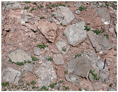 The type of rock shown in this photograph is   A) conglomerate. B) breccia. C) sandstone. D) shale.