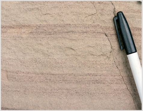 The type of rock shown in this photograph is   A) conglomerate. B) breccia. C) sandstone. D) shale.