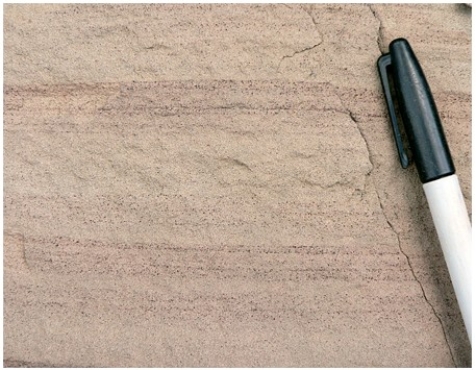 The rock shown here,with sediment just visible to the naked eye,is a   A) sandstone. B) shale. C) conglomerate.