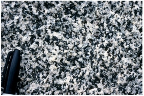 What texture is displayed by the igneous rock in this photograph?   A) Vesicles B) Breccia C) Porphyritic D) Glassy E) None of these are correct.