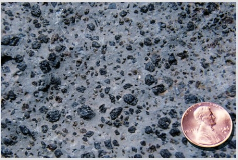 What texture is displayed by the igneous rock in this photograph?   A) Vesicles B) Breccia C) Porphyritic D) Glassy E) None of these are correct.