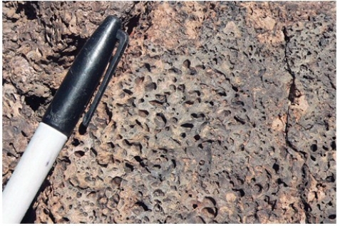 What does this texture indicate about the formation of this rock?   A) It formed from an explosive pyroclastic eruption. B) The rock solidified at great depth. C) The magma formed some crystals before rising closer to the surface and solidifying. D) The magma had abundant dissolved gas.