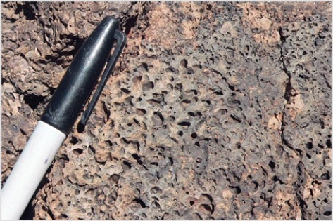 What does this welded texture indicate about the formation of this rock?   A) It formed from an explosive pyroclastic eruption. B) The rock solidified at great depth. C) The magma formed some crystals before rising closer to the surface and solidifying. D) The magma had abundant dissolved gas.